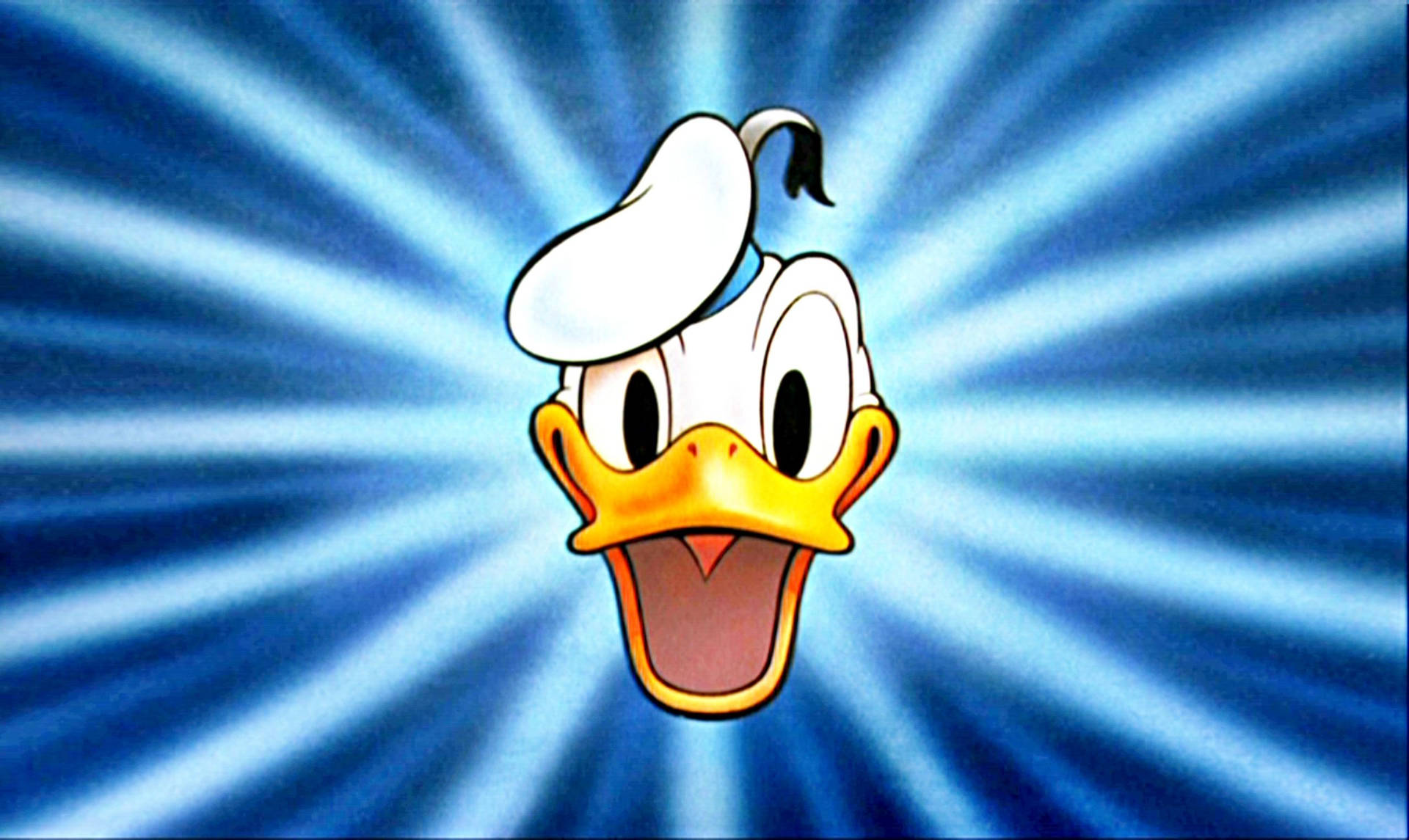 Donald Duck Goin' Quackers Background