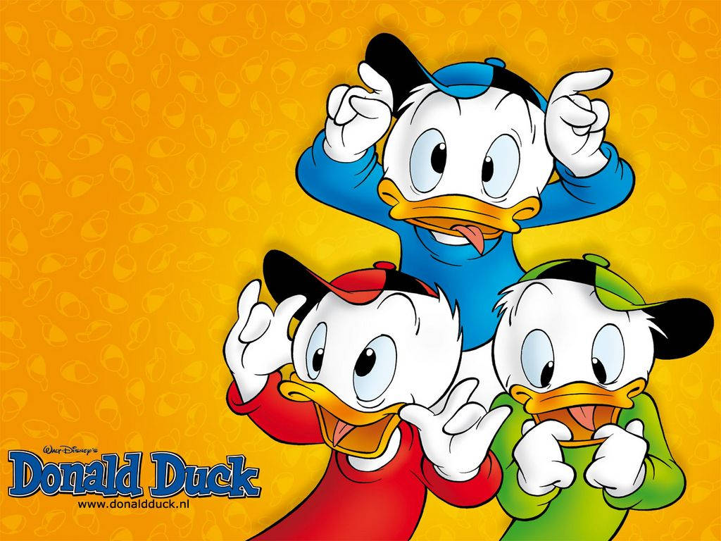 Donald Duck Goofy Nephews Background