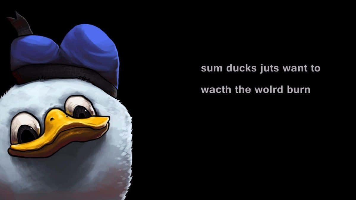 Donald Duck Meme Desktop Background