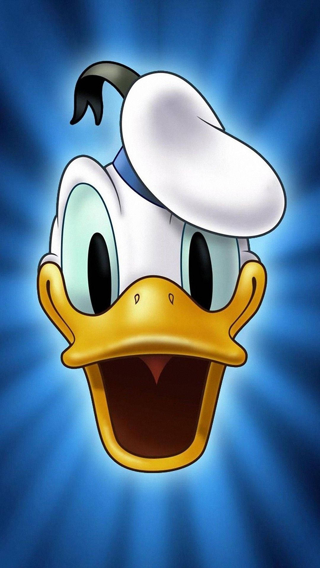 Donald Duck Portrait Background