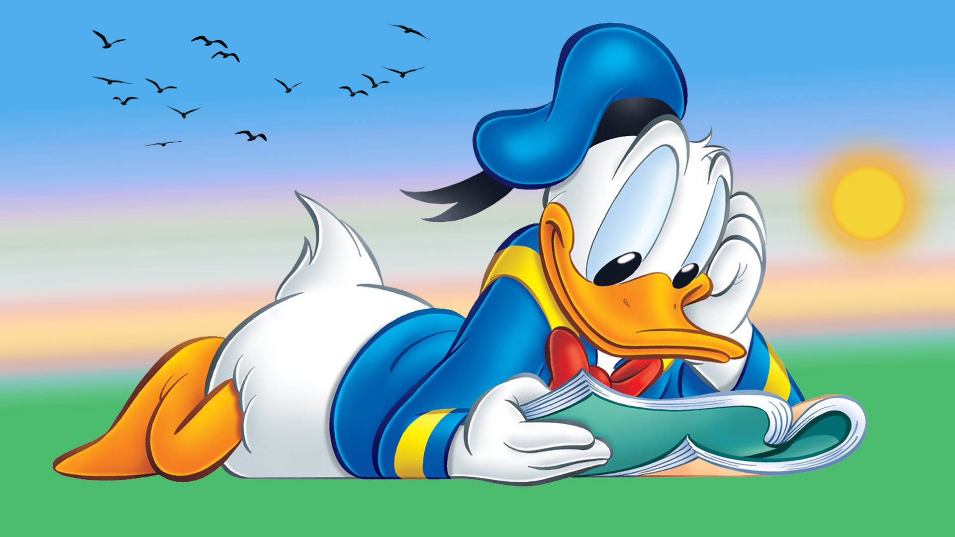 Donald Duck Reading Book