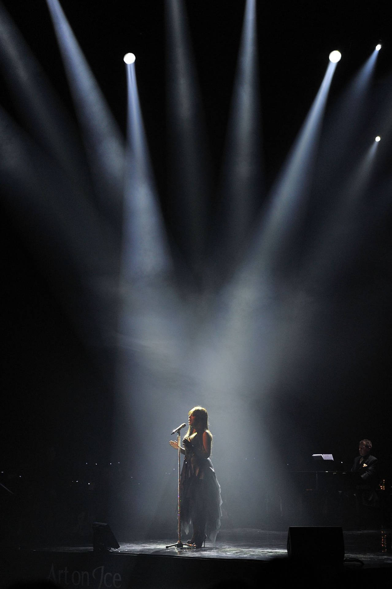 Donna Summer, The Queen Of Disco On Stage Background