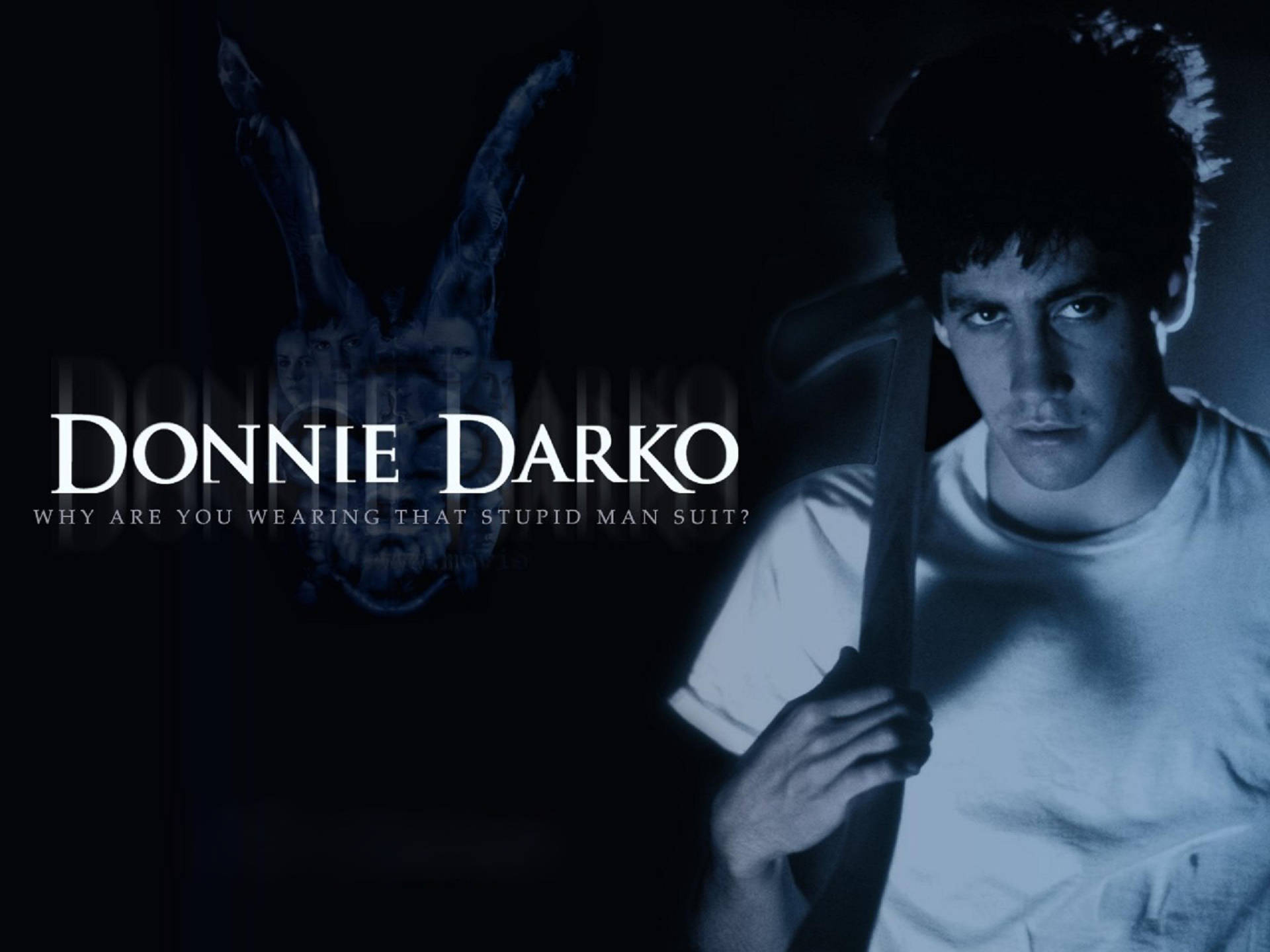 Donnie Darko Movie Poster Background