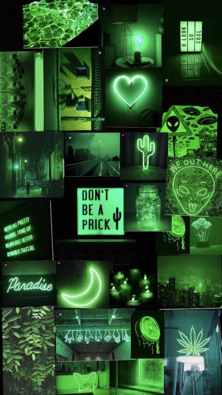 Don’t Be A Picky Neon Green Aesthetic Background