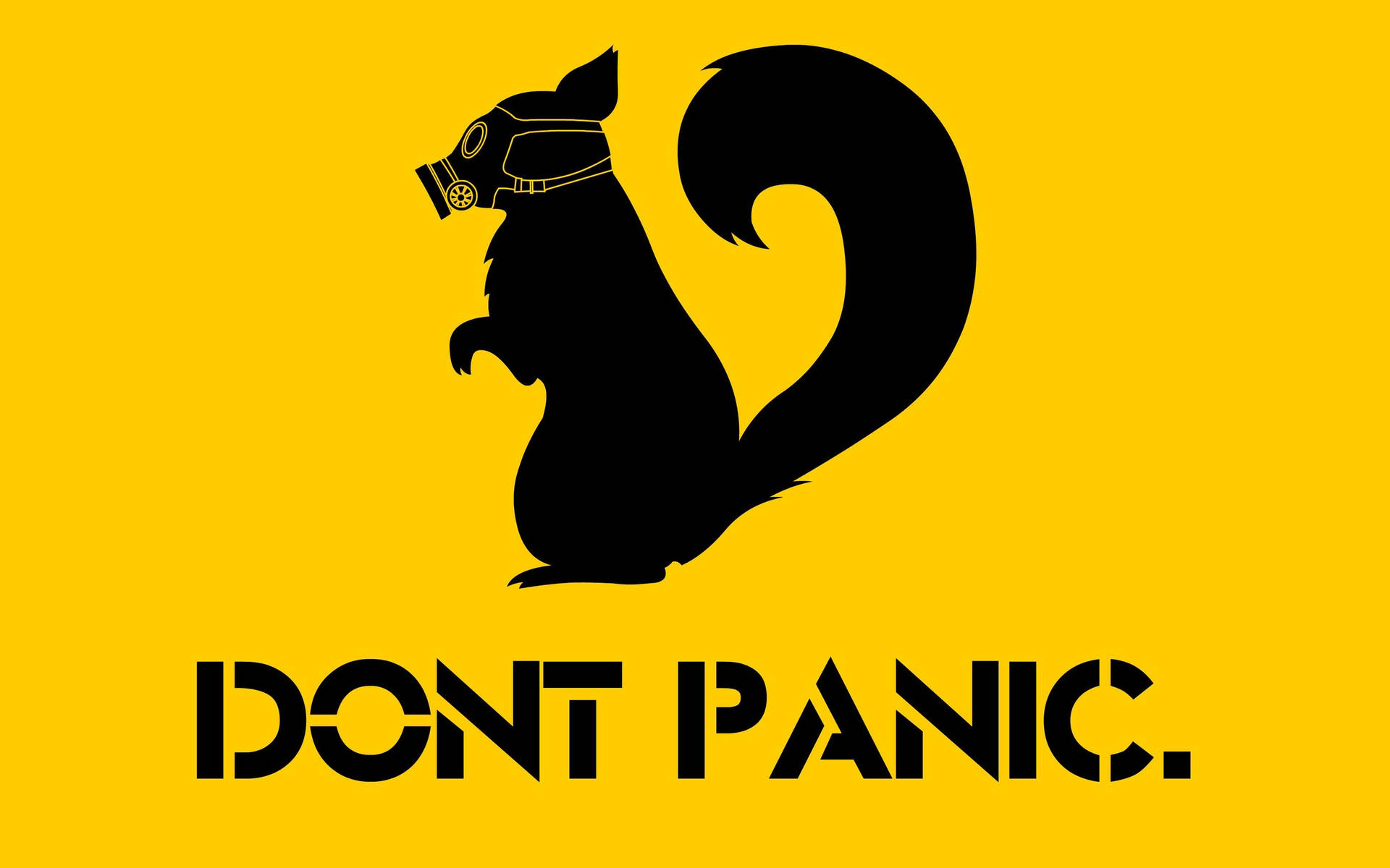 Don’t Panic Masked Squirrel Background