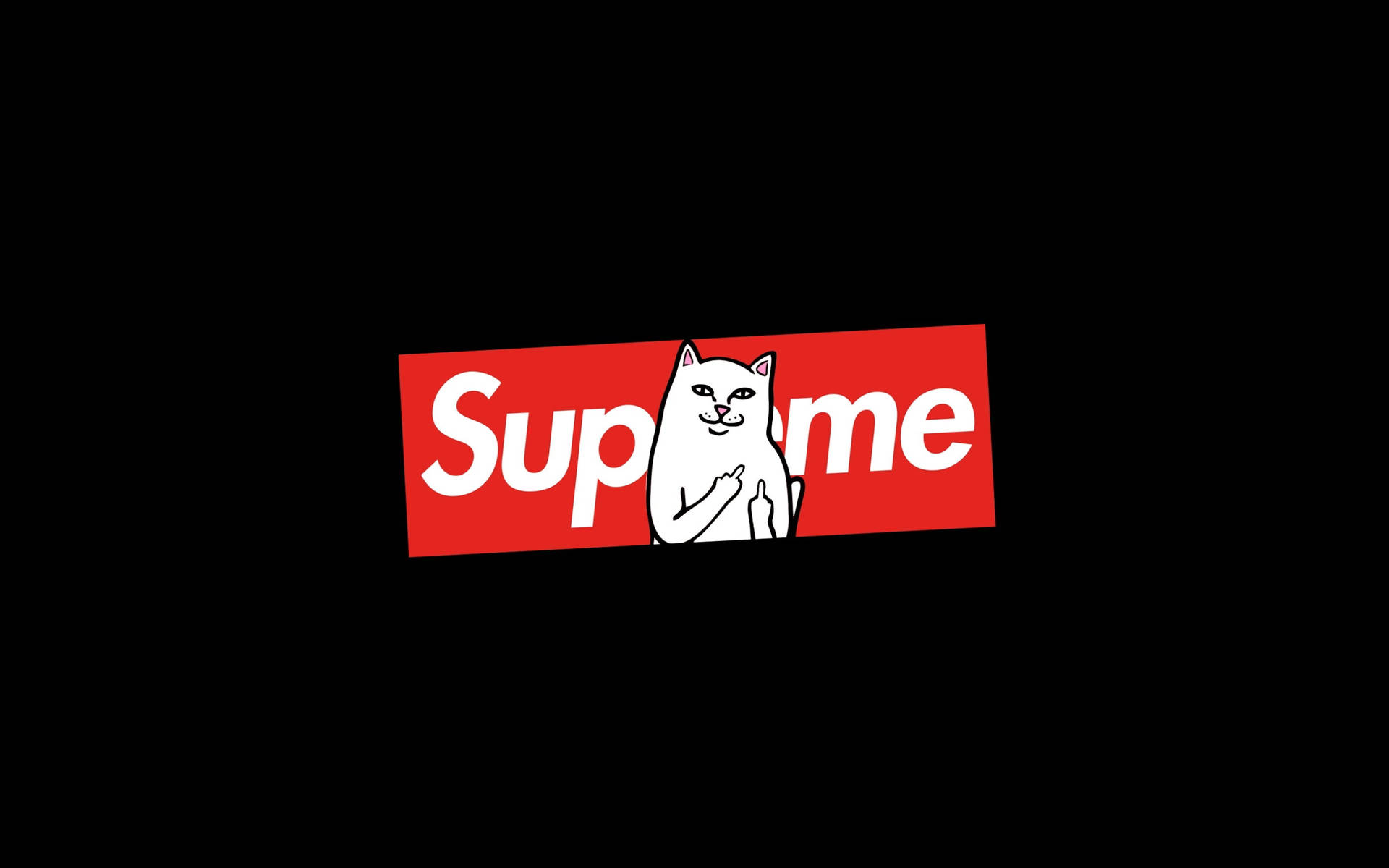 Dope Supreme Cat Meme Background