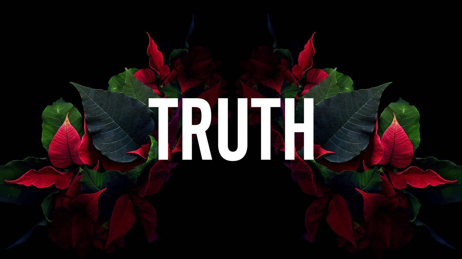 Dope Truth Text Art Background