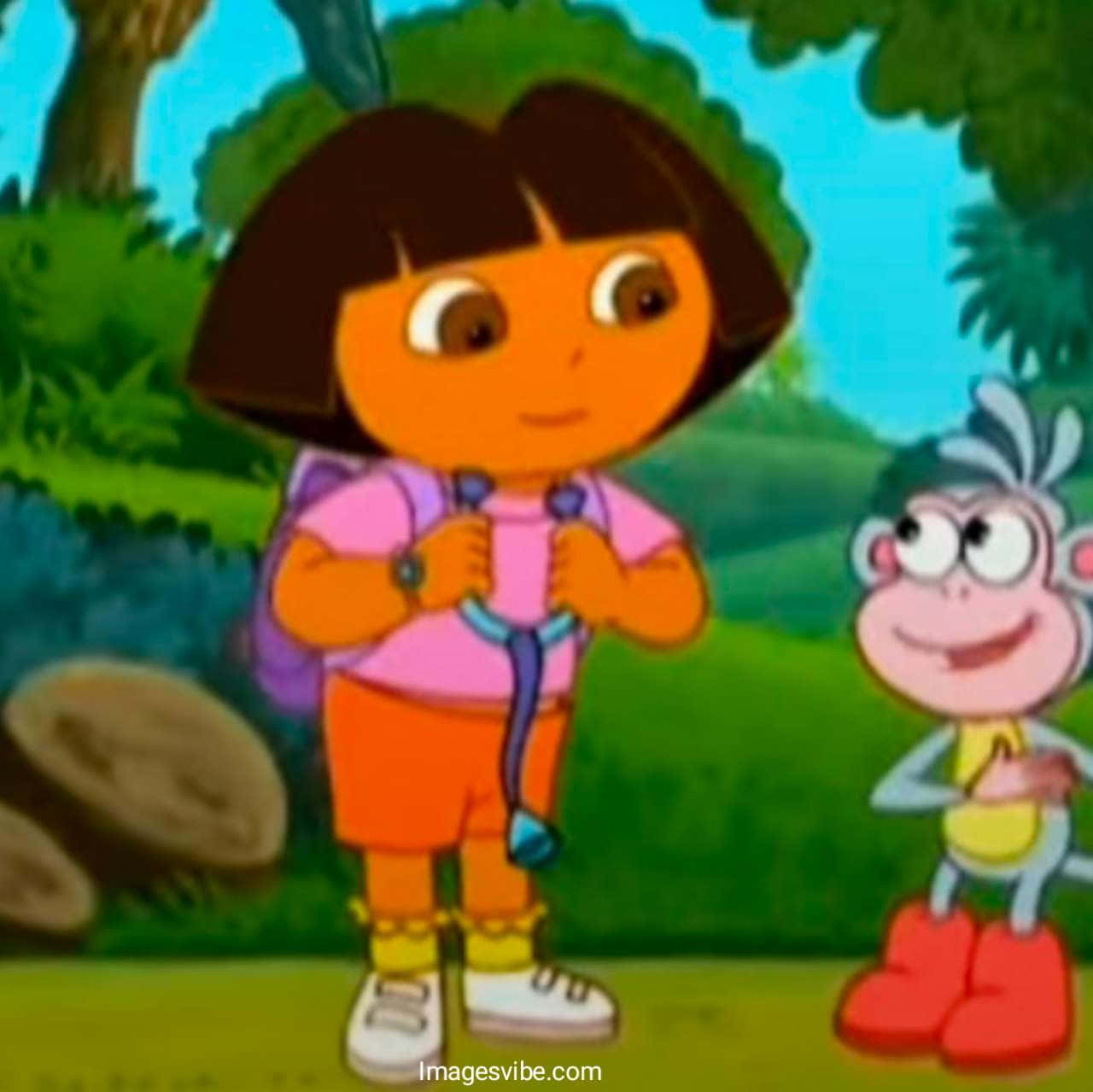 Dora The Explorer And A Monkey Background