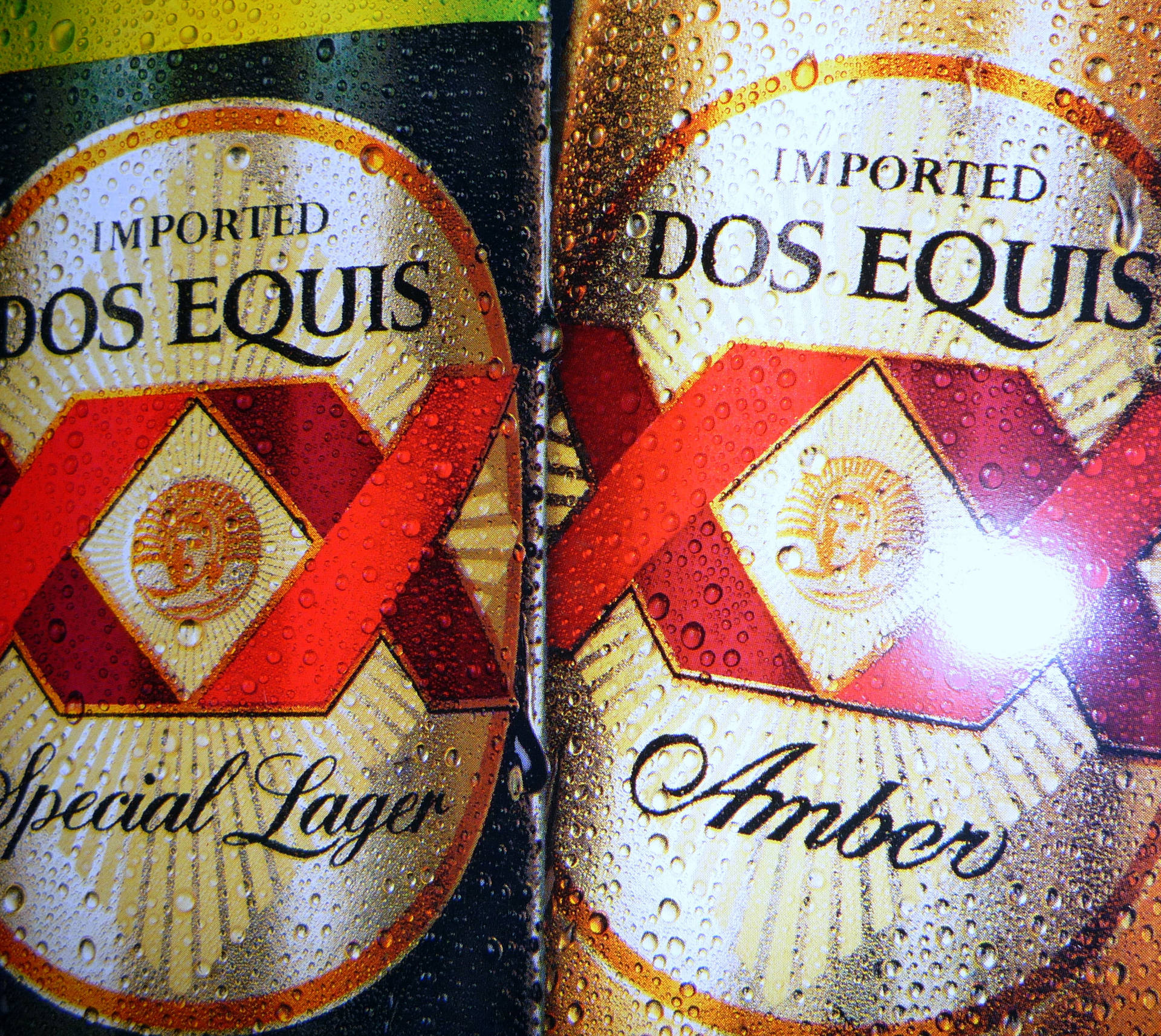 Dos Equis Wet Bottles Background