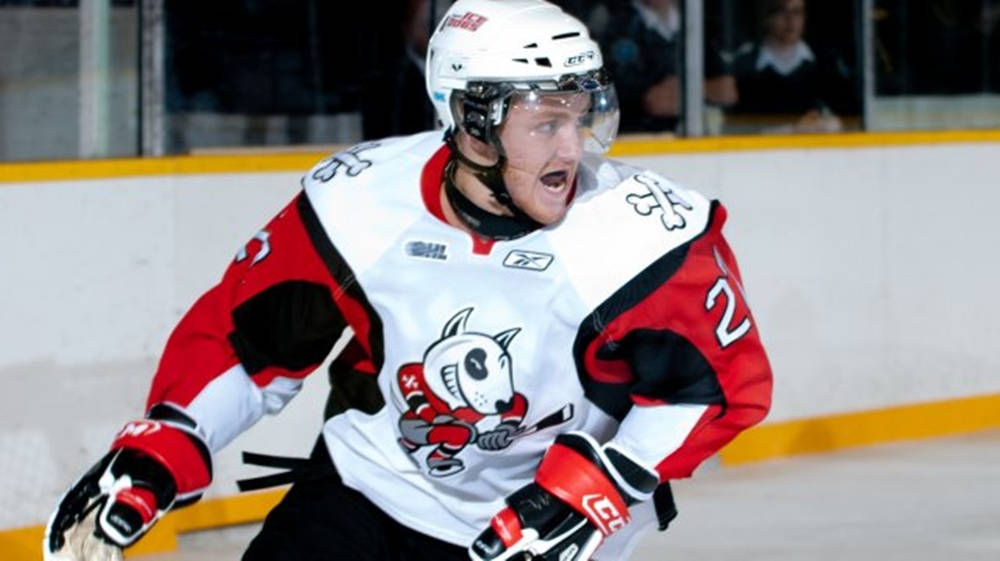 Dougie Hamilton Niagara Icedogs Vs. London Knights Background