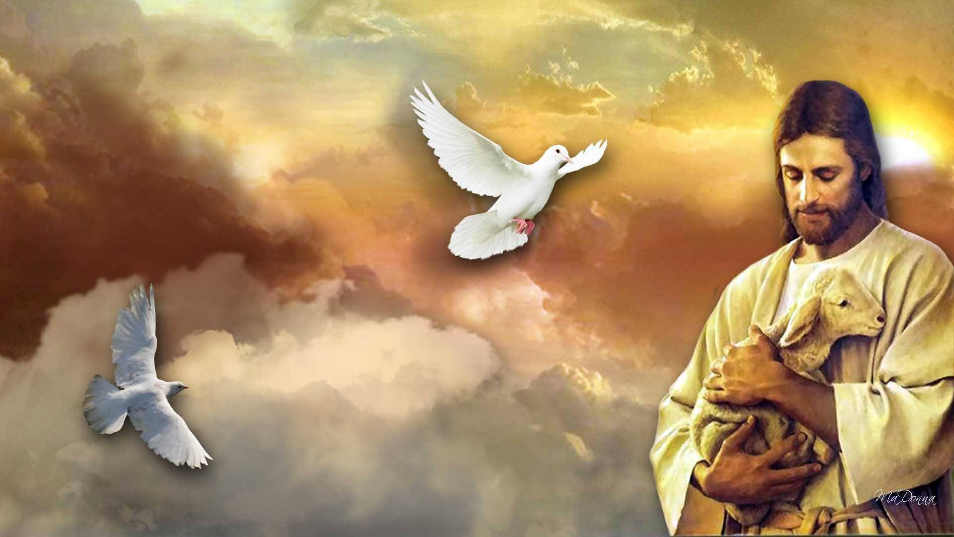 Dove, Lamb, And 4k Jesus Background
