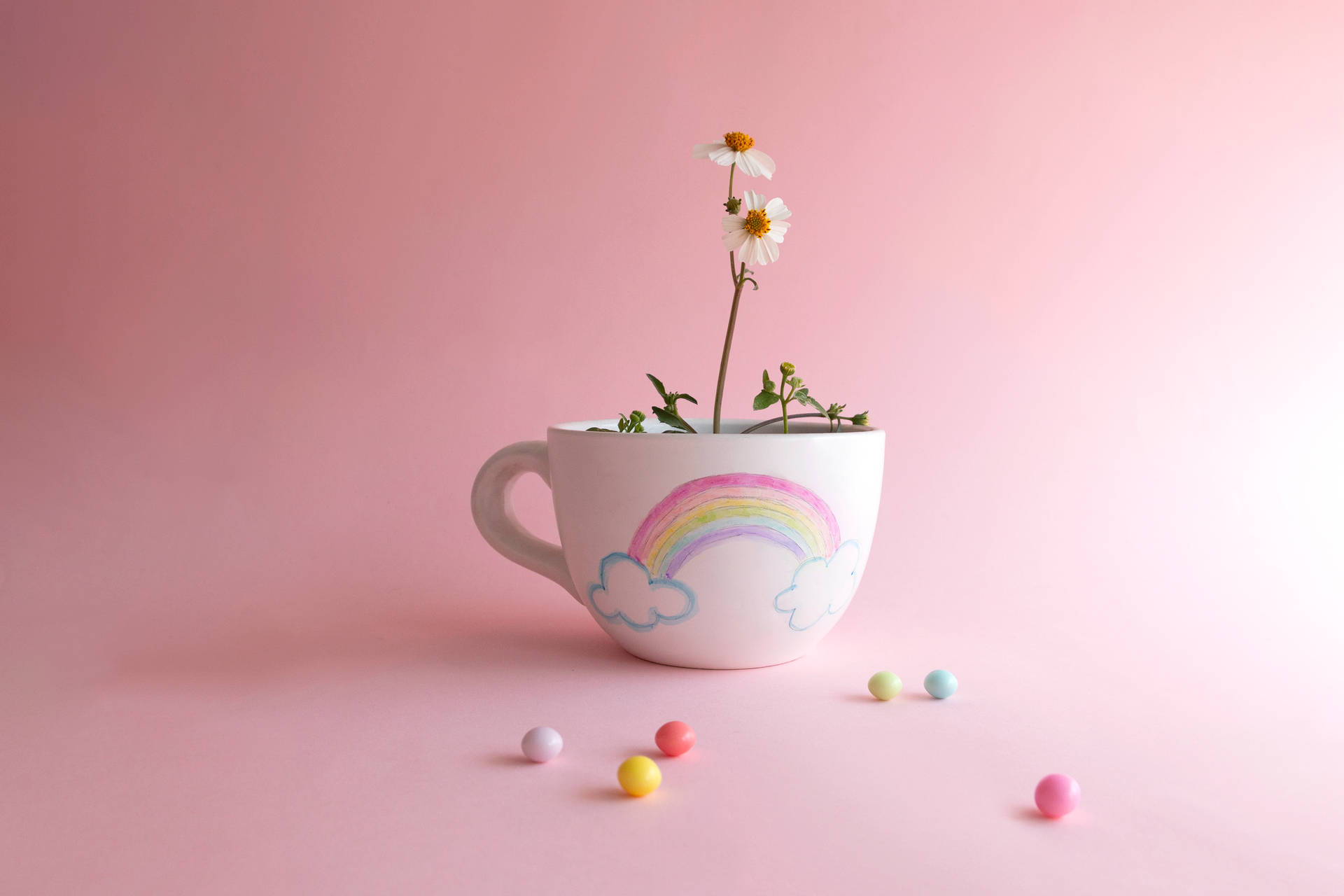 Download Cute Rainbow Cup With Flower Inside Free Stock Photo Background