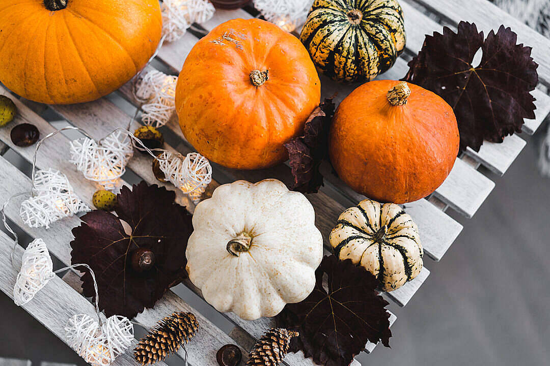 Download Halloween Pumpkin Free Stock Photo Background