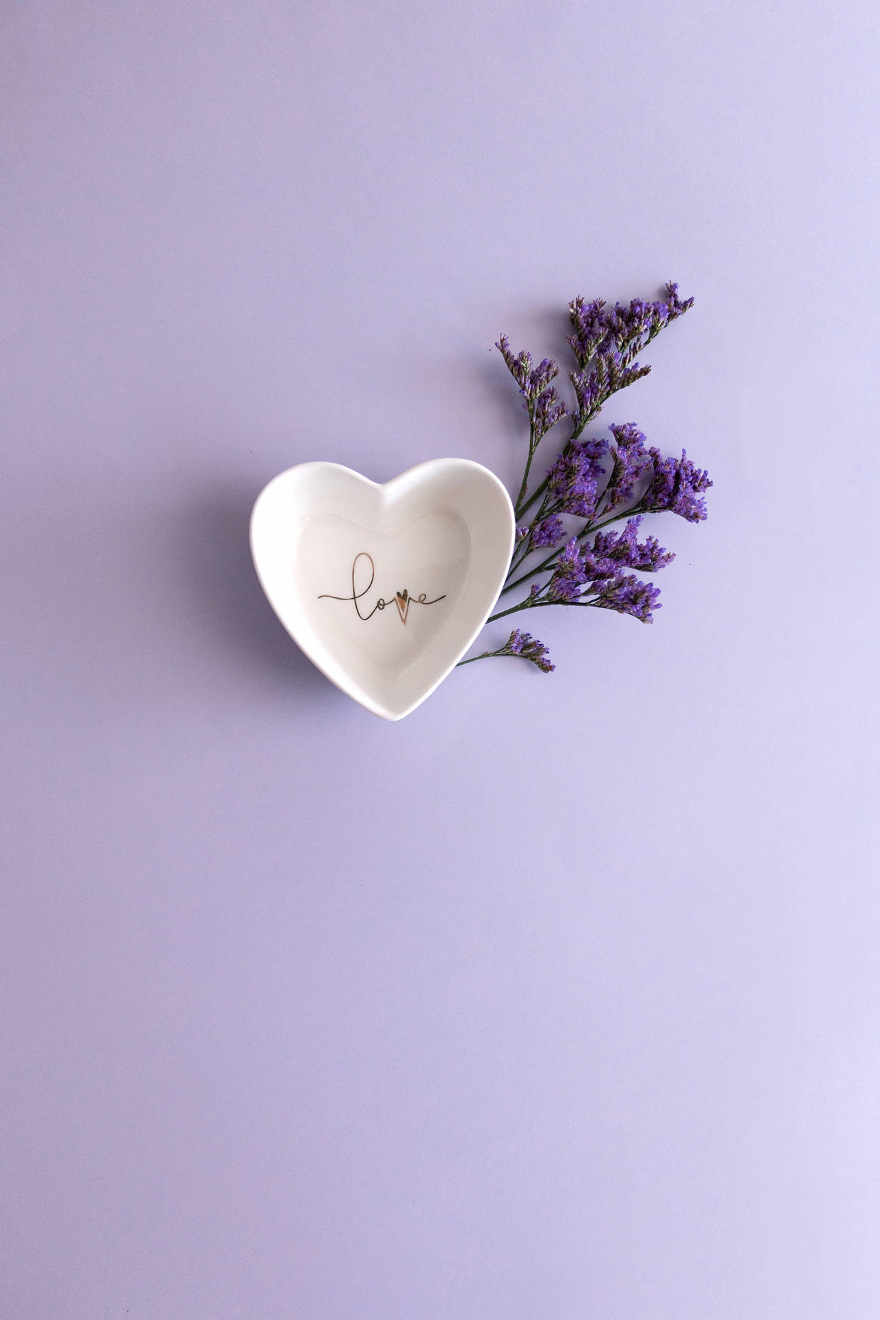 Download Heart Shaped Bowl With Flower On Purple Background Free Stock Photo