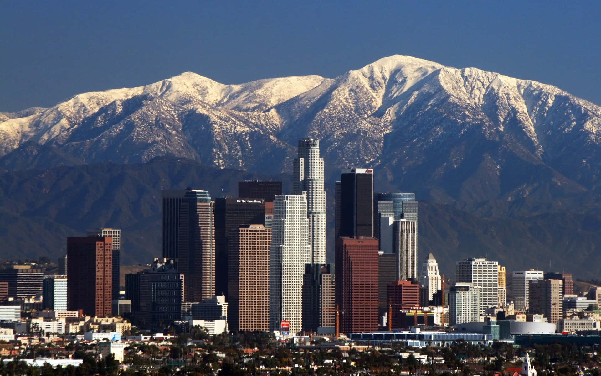 Downtown Los Angeles Skyline Background