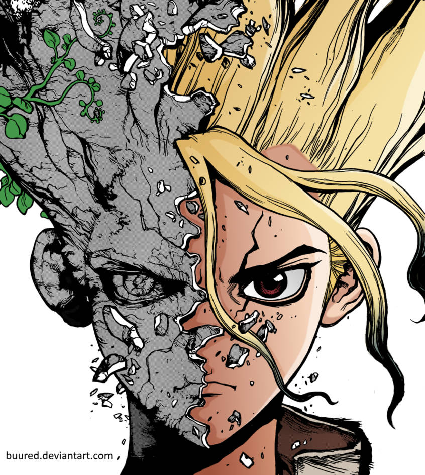 Dr Stone Two Face