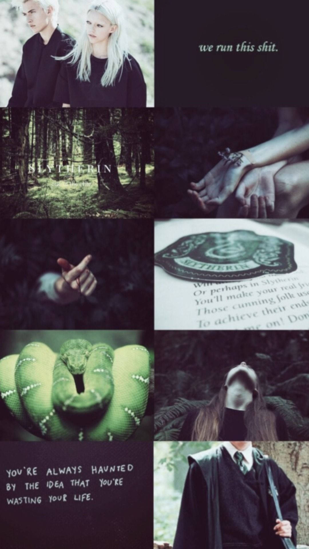 Draco Malfoy Slytherin Couple Aesthetic Background