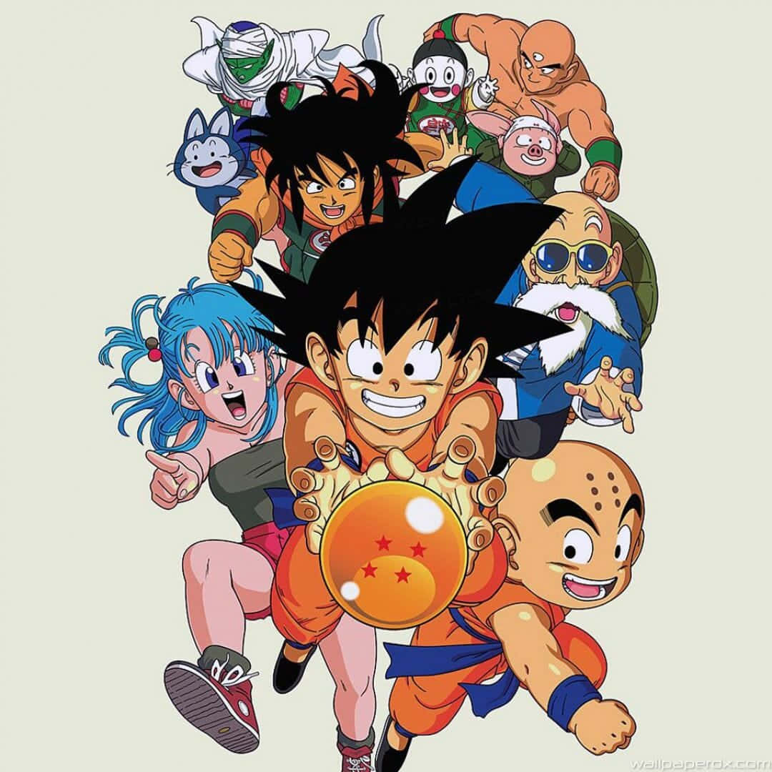 Dragon Ball Japan Anime