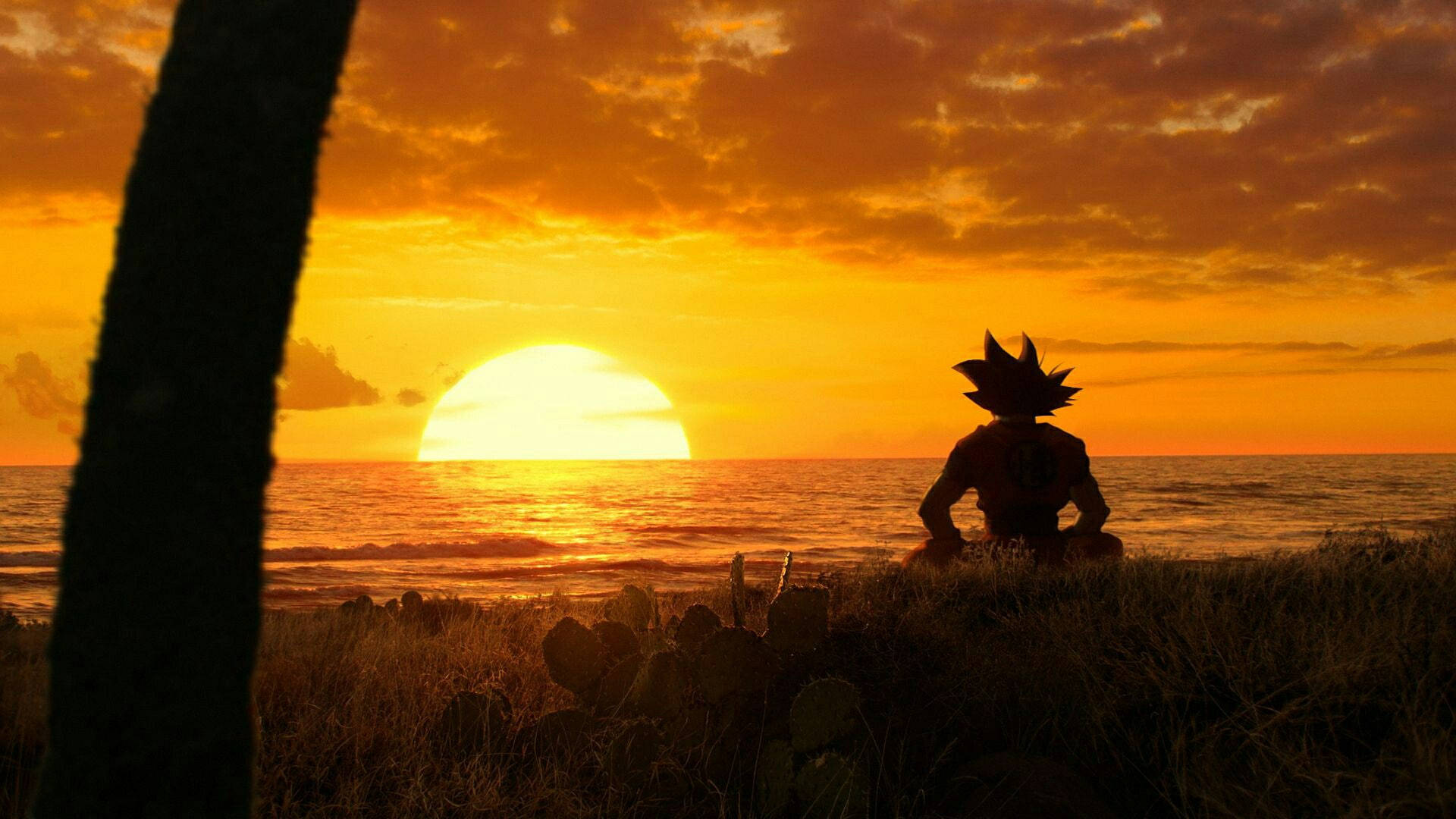Dragon Ball Son Goku Chill Sunset Background