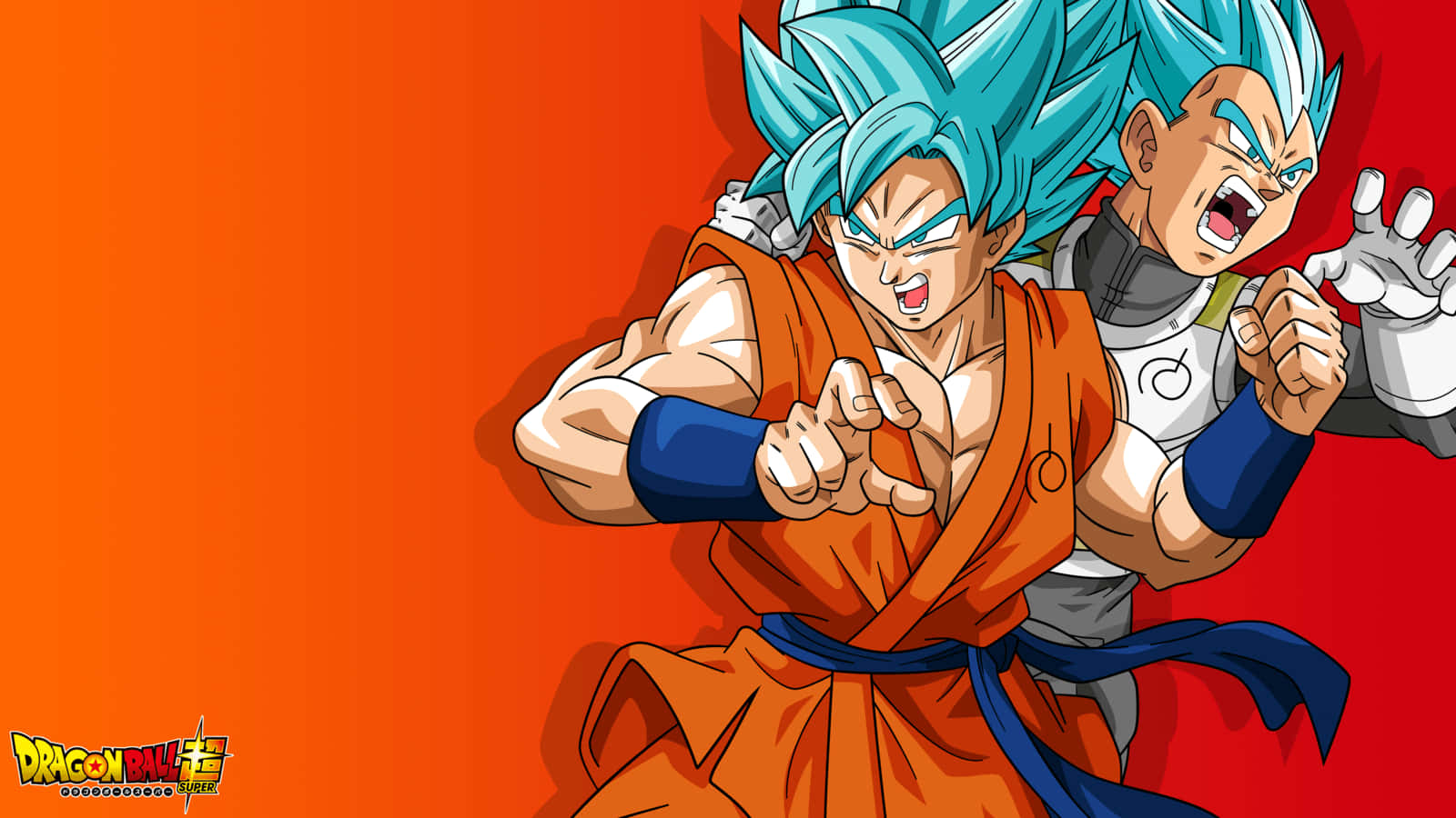 Dragon Ball Z Goku And Vegeta Super Saiyan Blue