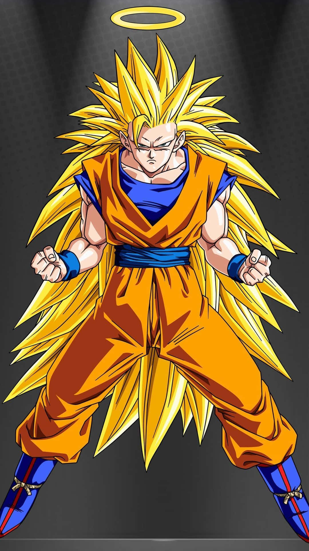 Dragon Ball Z Super Saiyan Goku With Halo