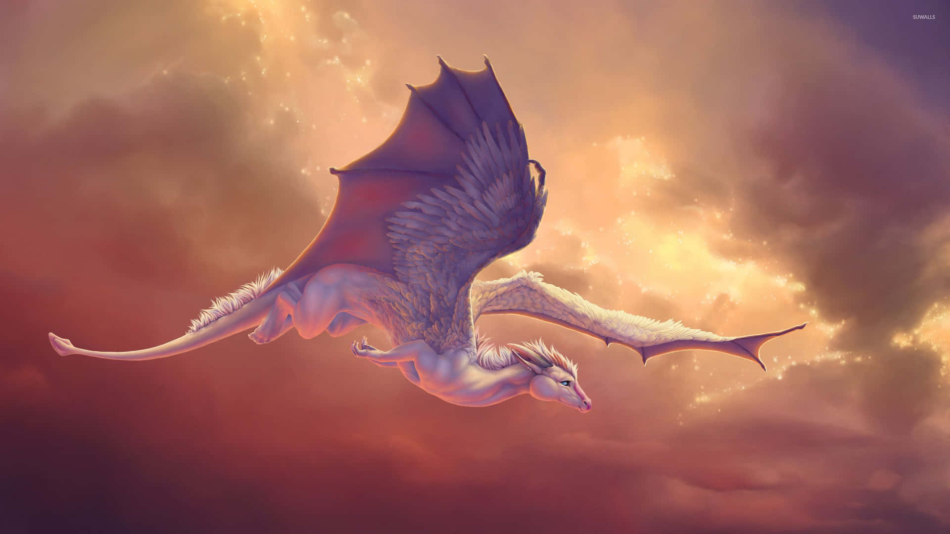 Dragon Kawaii Cute 2560 X 1440 Background