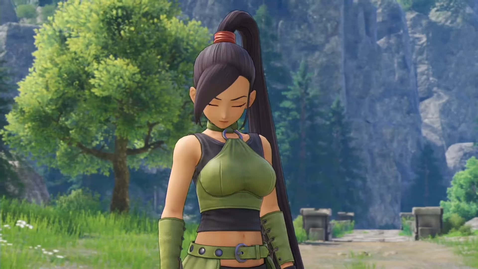 Dragon Quest Echoes Of An Elusive Age Cute Girl Background