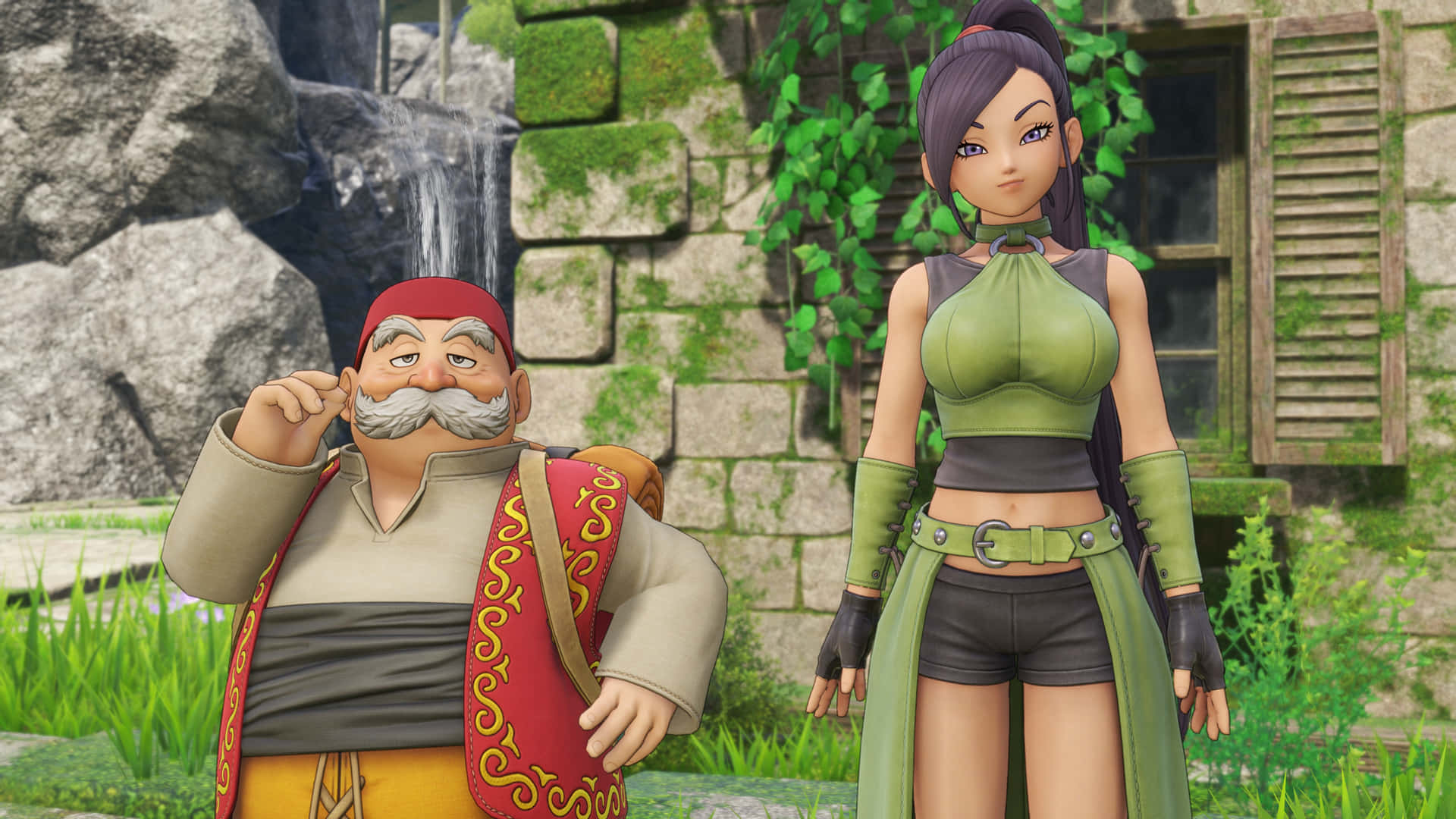 Dragon Quest Echoes Of An Elusive Age Game Background