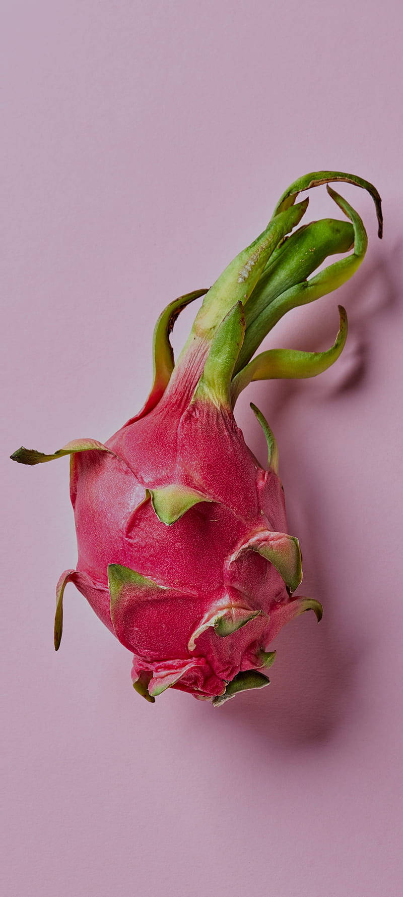 Dragonfruit Fruit Photography Pastel Pink Background Background