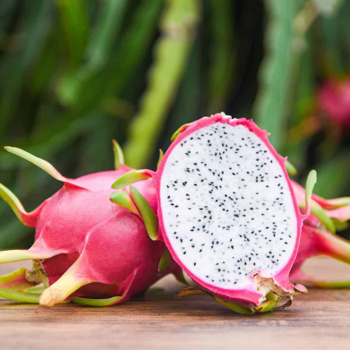 Dragonfruit Outdoor Fruit Photography