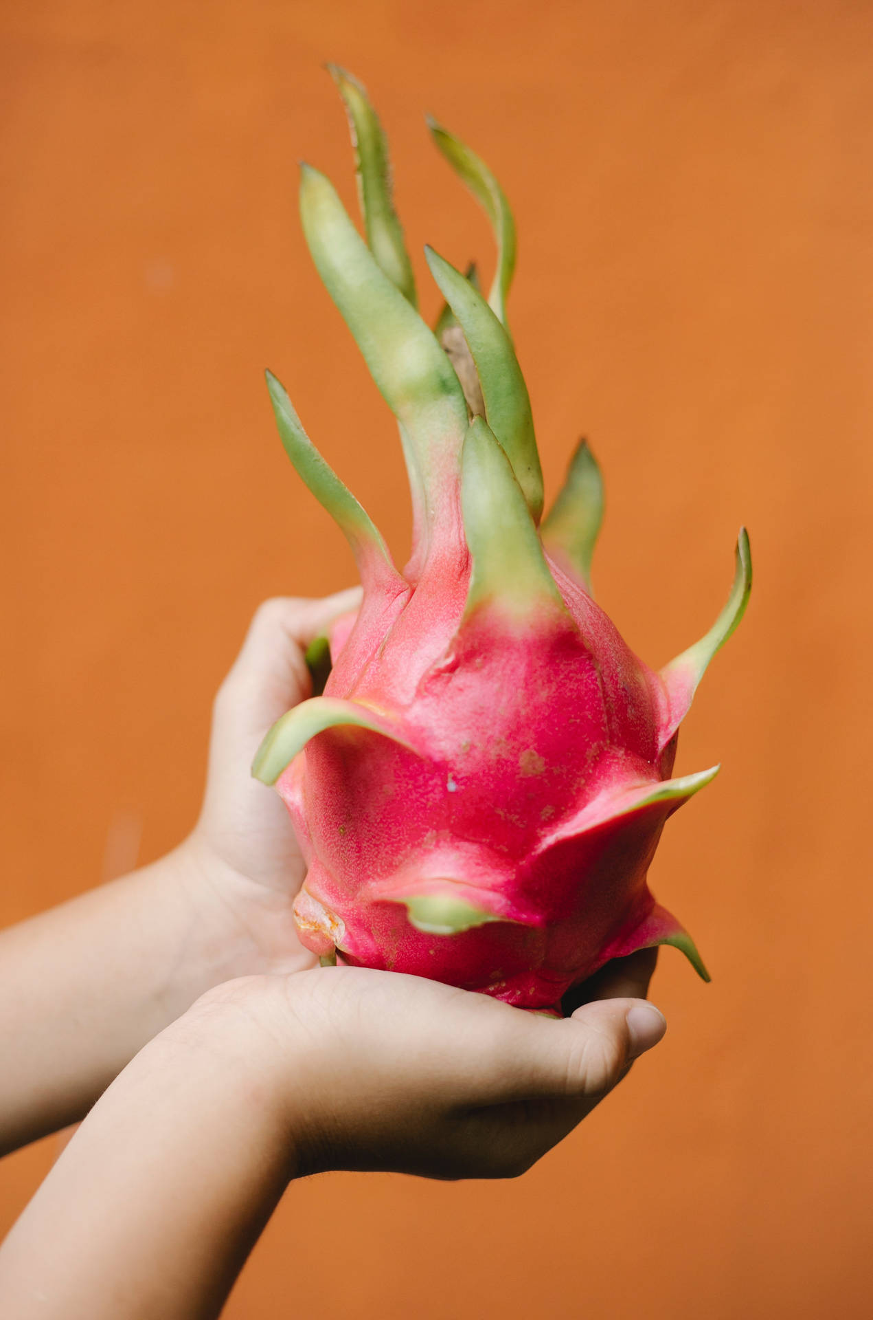 Dragonfruit Whole Fruit Food Photography