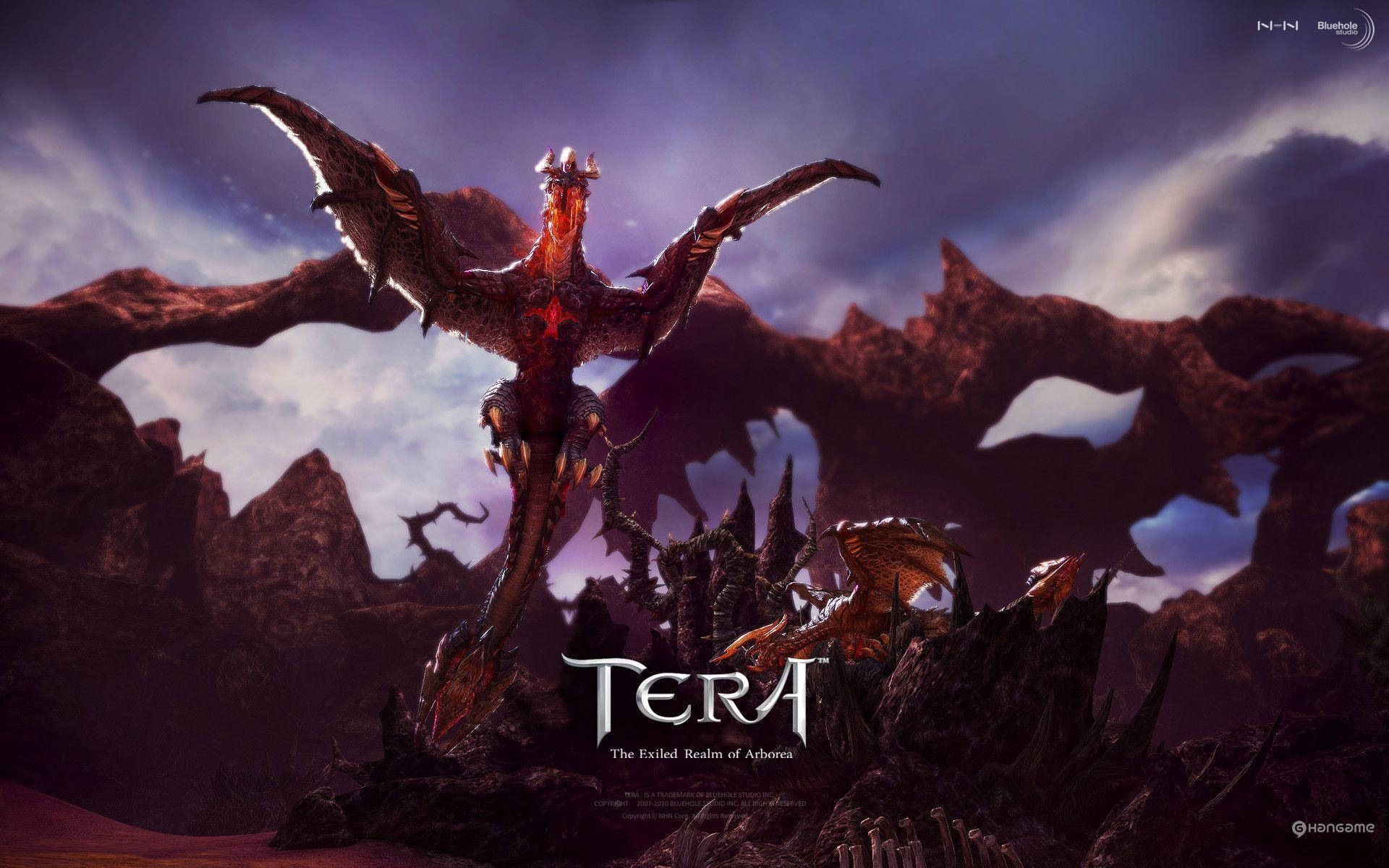 Dragons Of Tera Online Fantasy Game