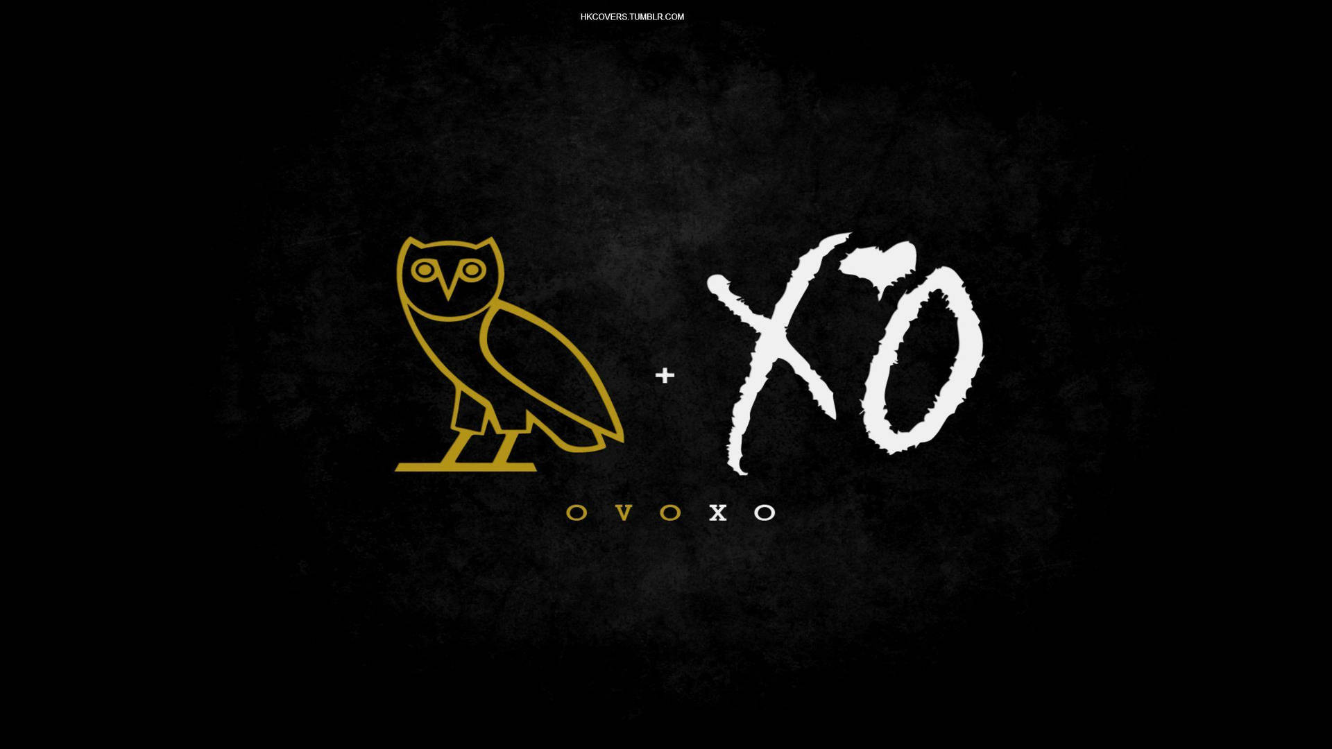 Drake Wearing Ovo Apparel Background