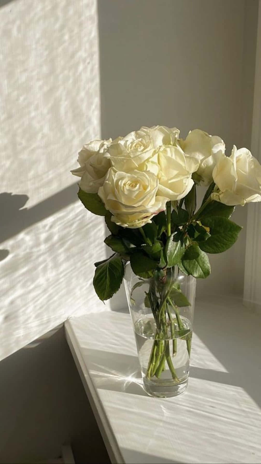 Dramatic White Roses Aesthetic Vase