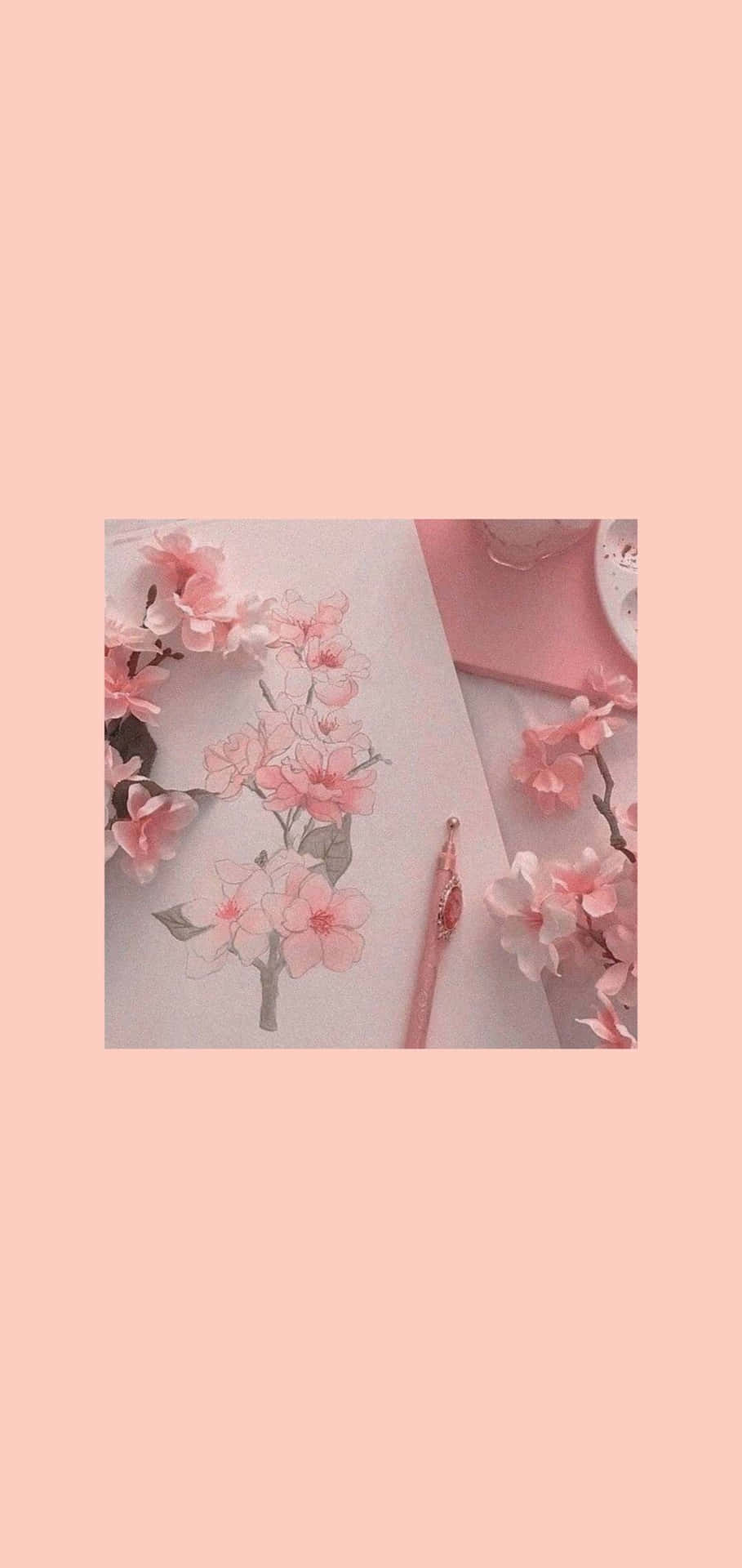 Drawn Aesthetic Cherry Blossom Background