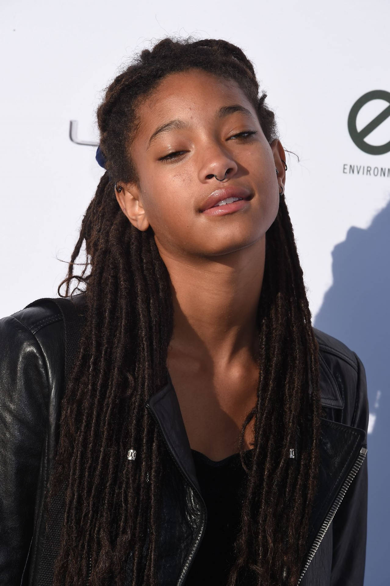 Dreadlocks Willow Smith