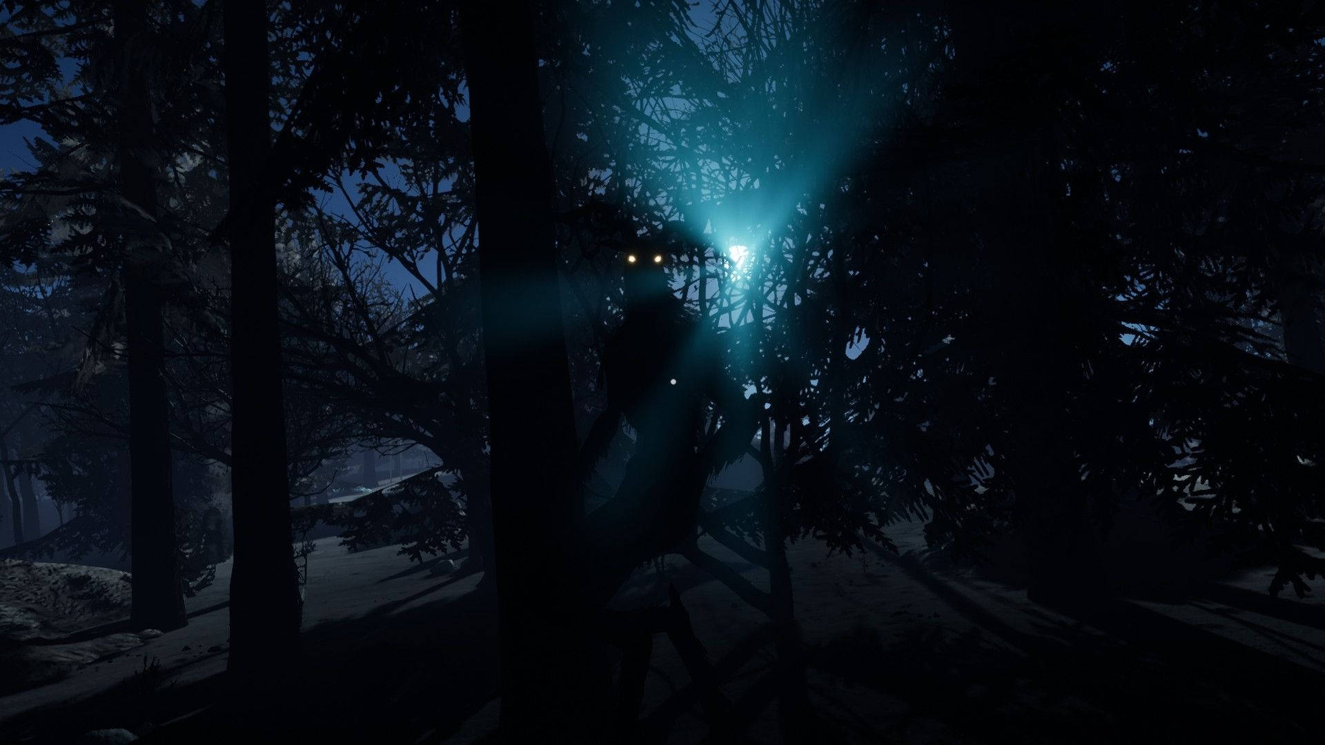 Dreamcore Dark Forest