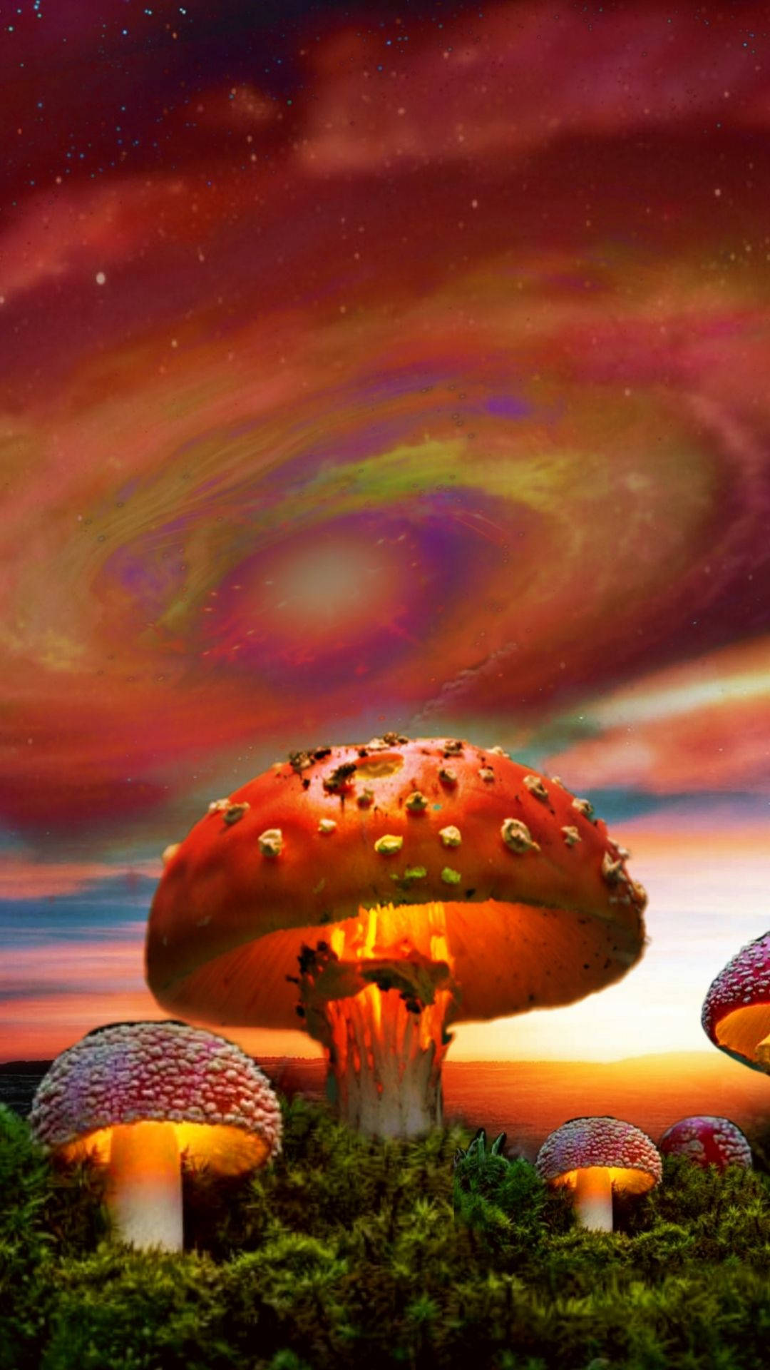 Dreamcore Orange Mushrooms Background