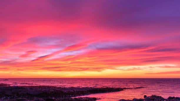 'dreaming Of A Warm Summer Day At The Beach' Background