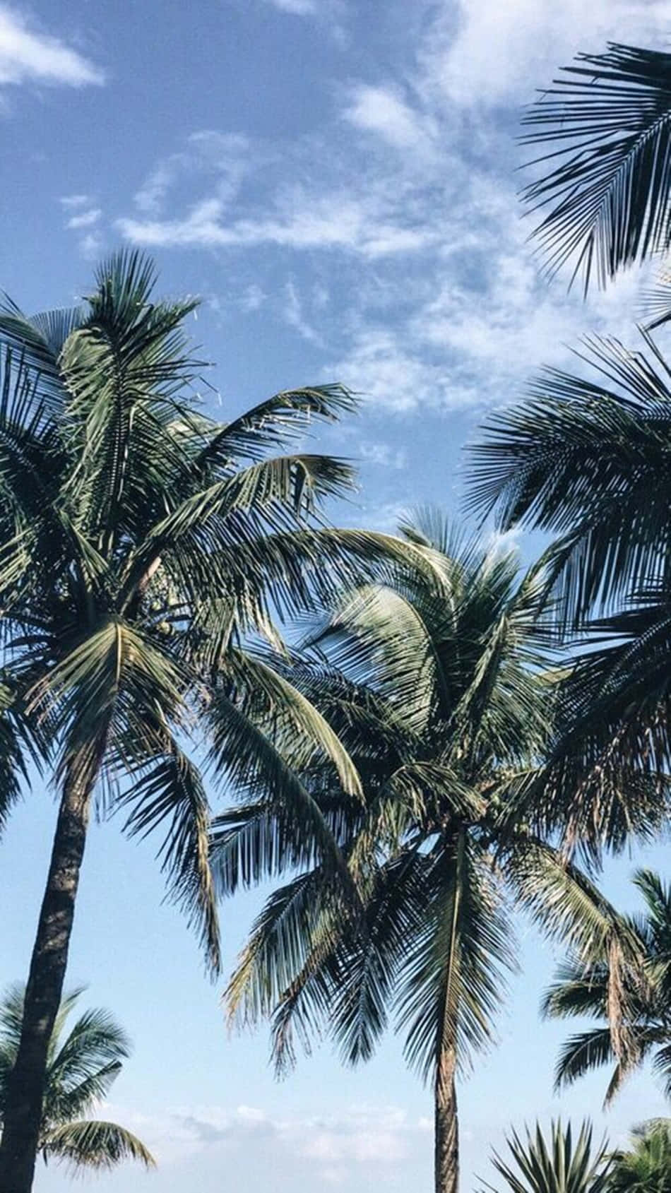 Dreaming Of The Coastline