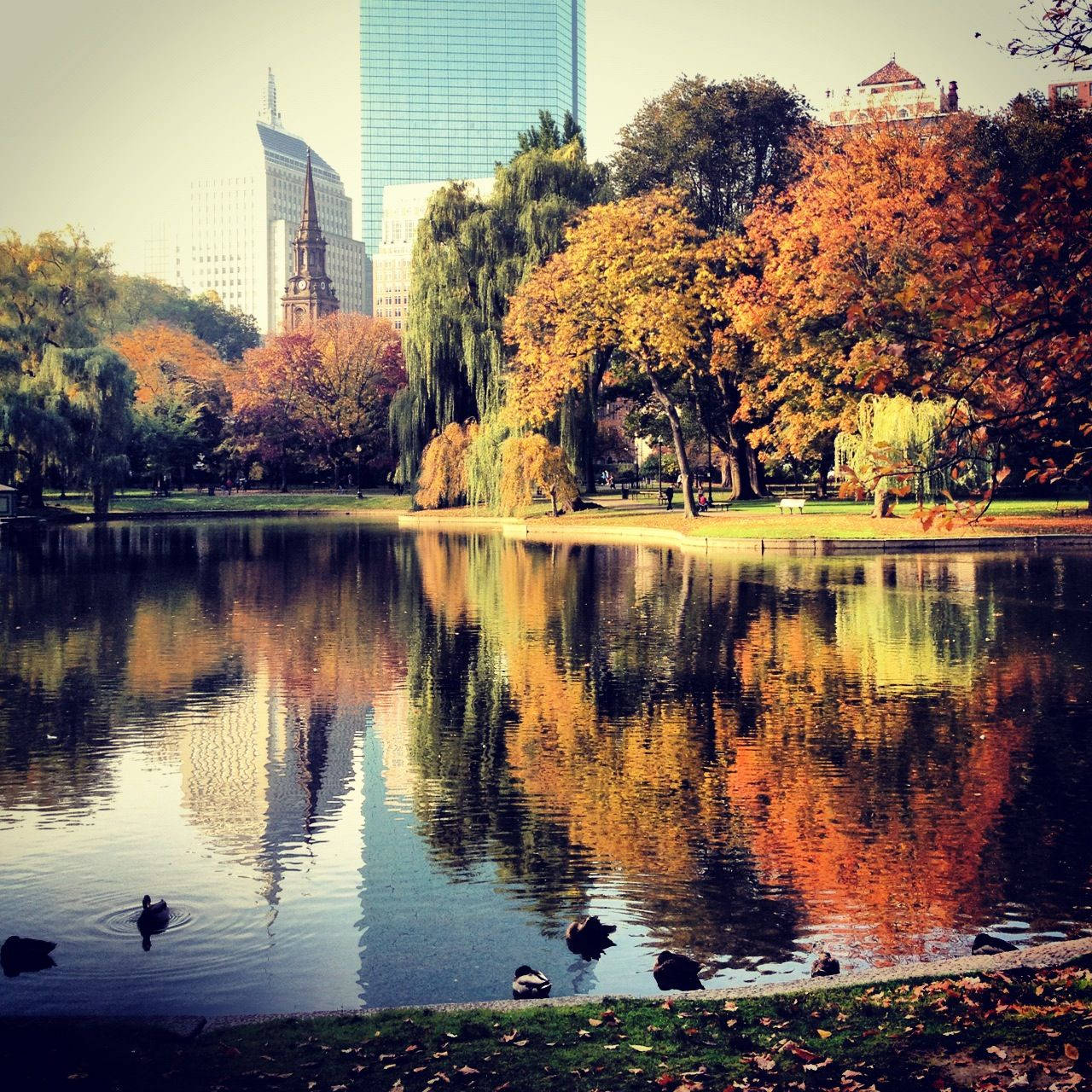 Dreamy Park In Boston Background