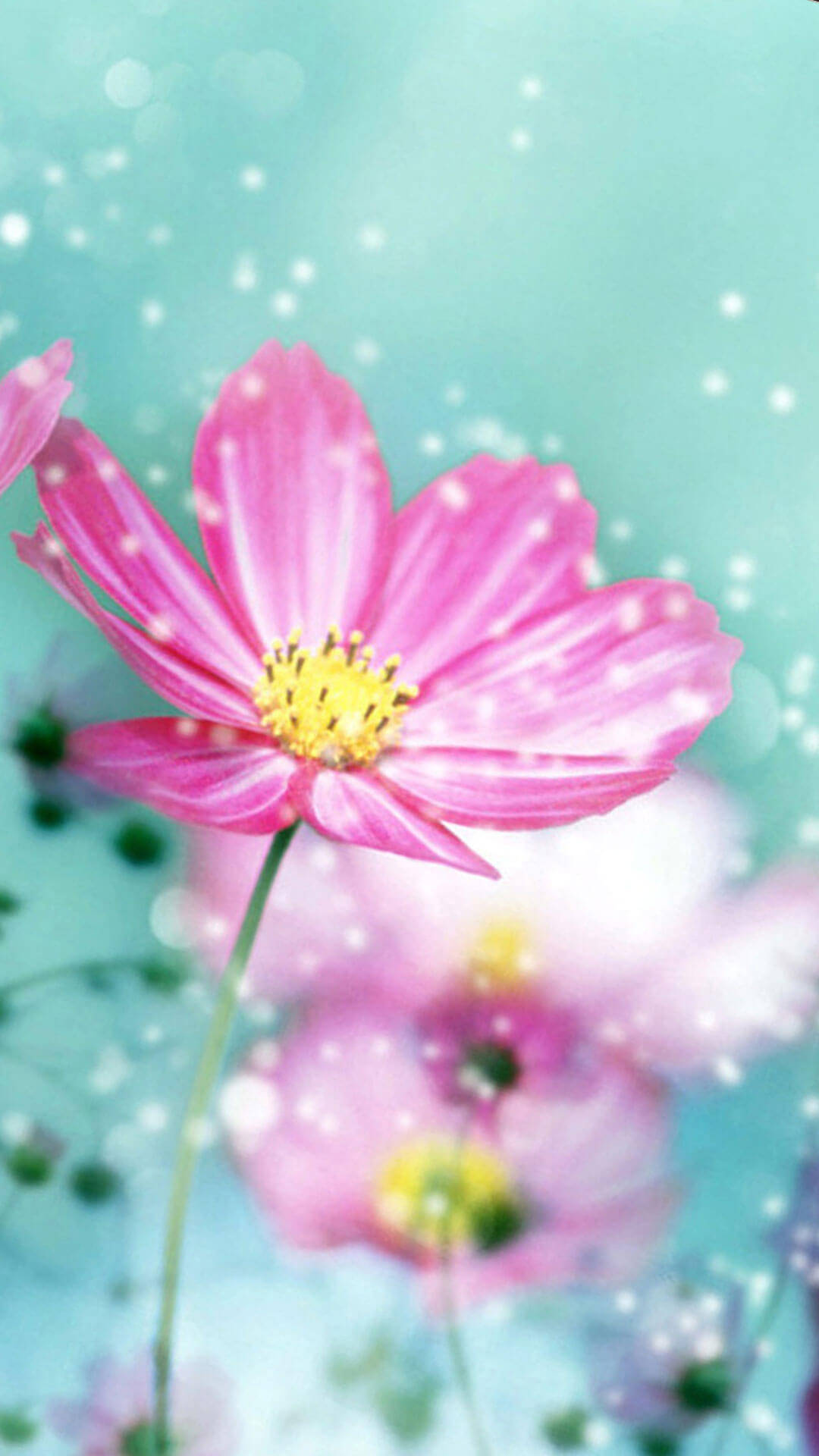 Dreamy Spring Flower Iphone Background