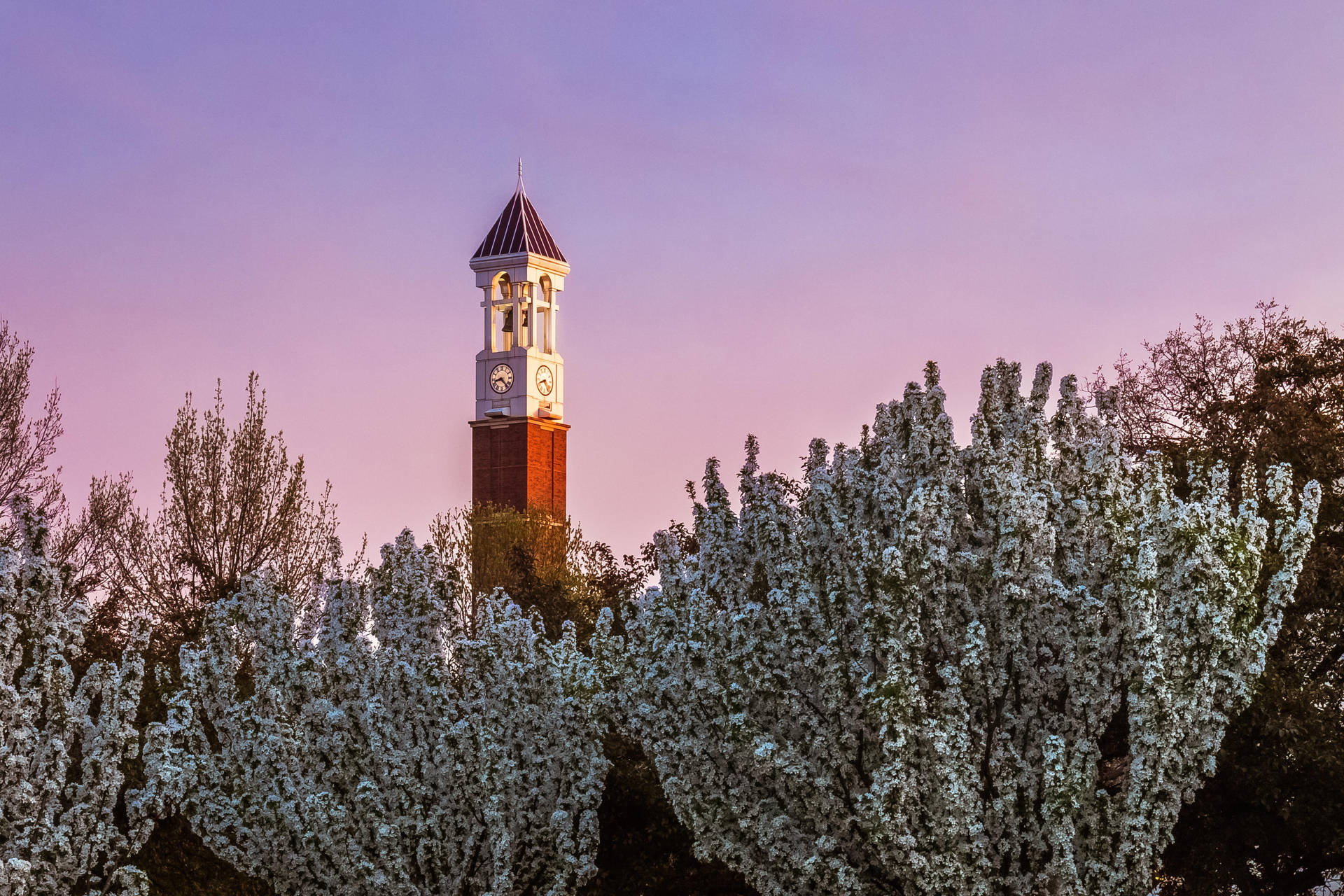 Dreamy Sunset With Purdue University Bell Tower Background