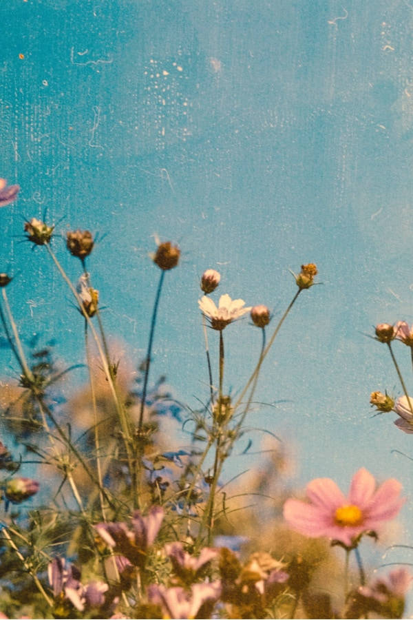 Dreamy Textured Vintage Flower Aesthetic Background