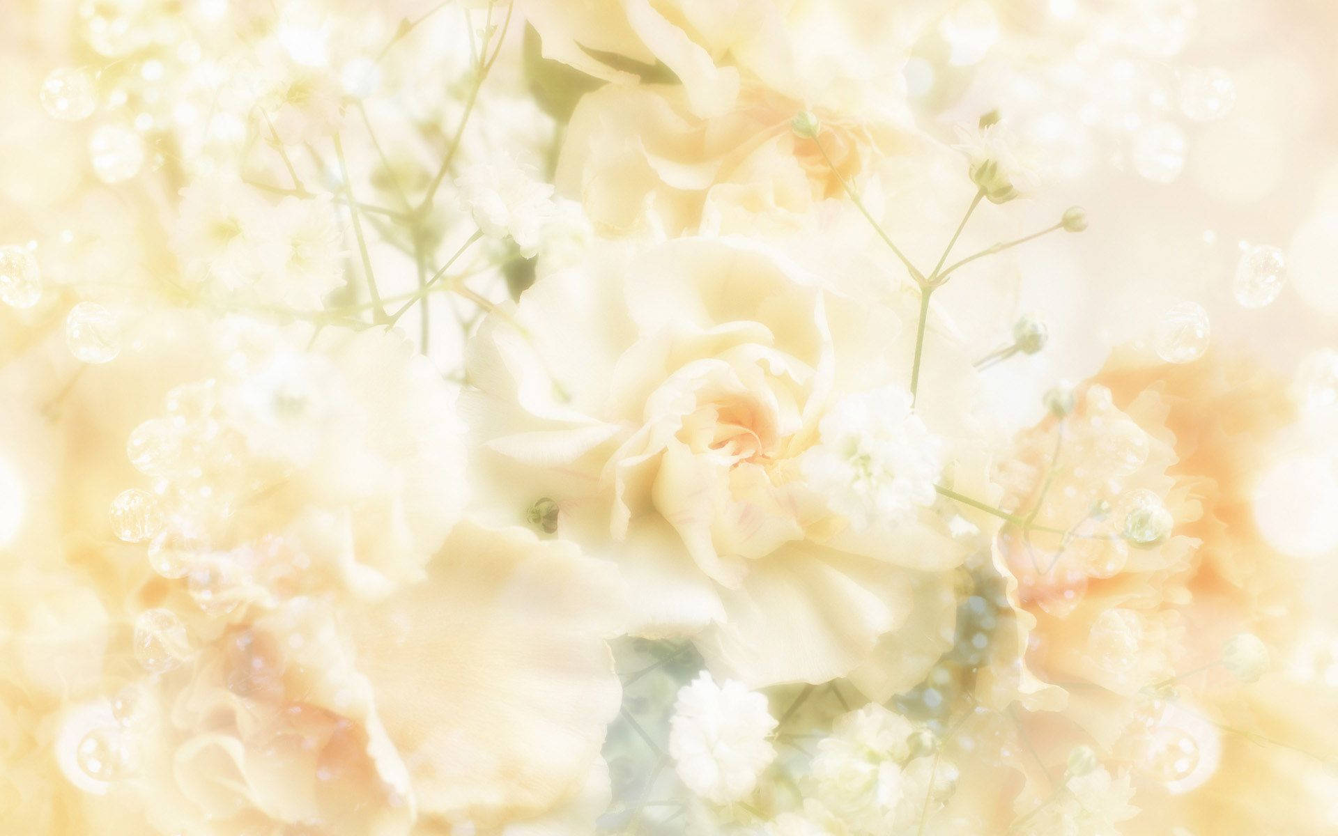 Dreamy Wedding Flowers Background