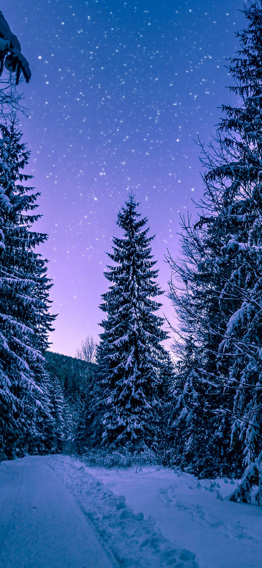 Dreamy Winter Forest Iphone Background