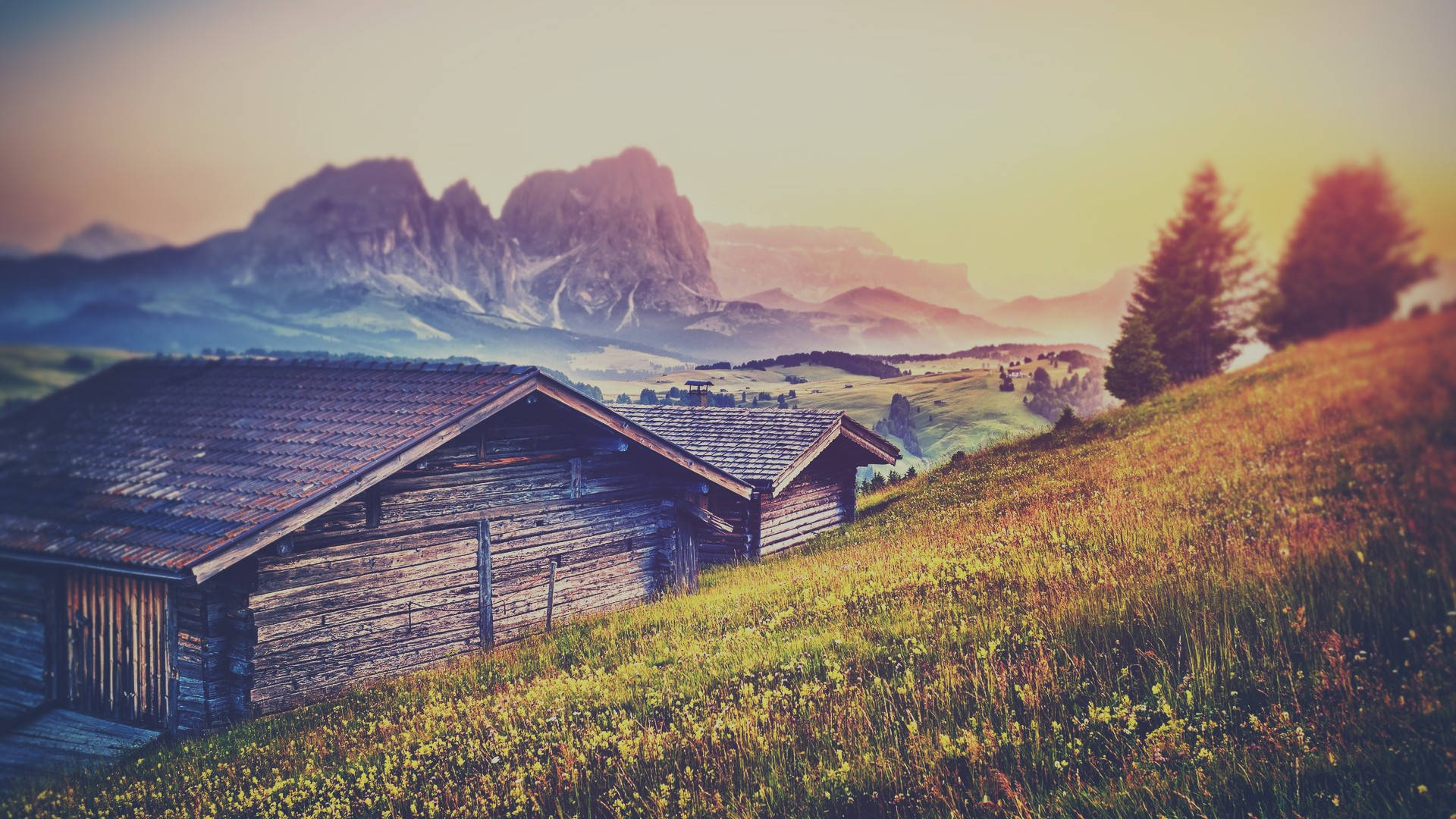 Dreamy Wooden House Background