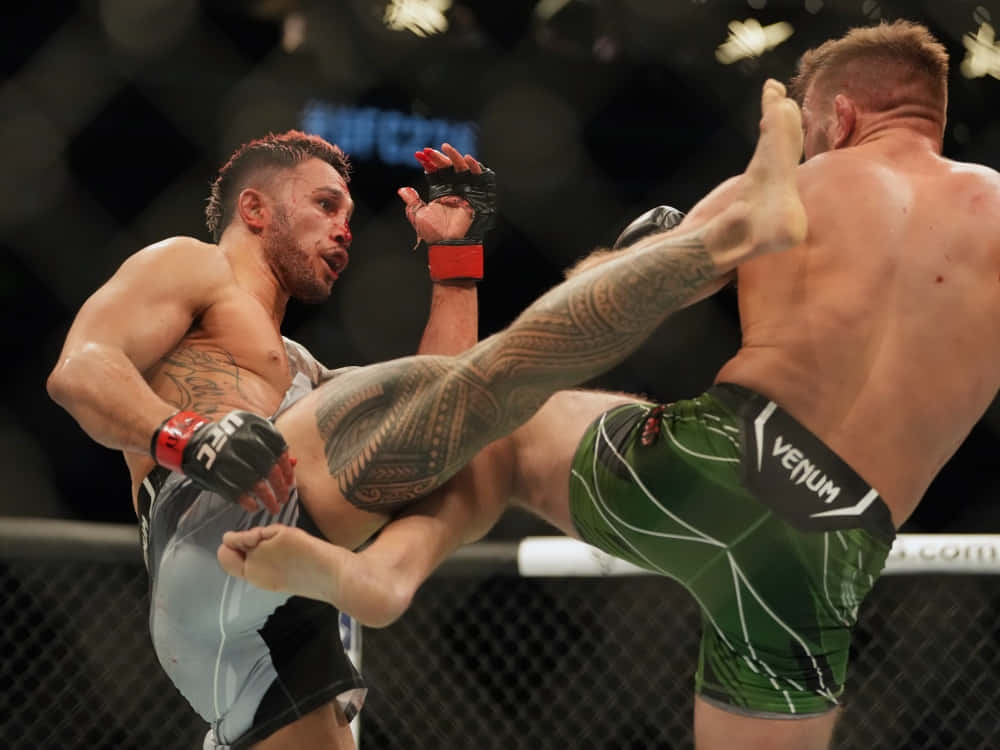 Dricus Du Plessis Kicking Brad Tavares