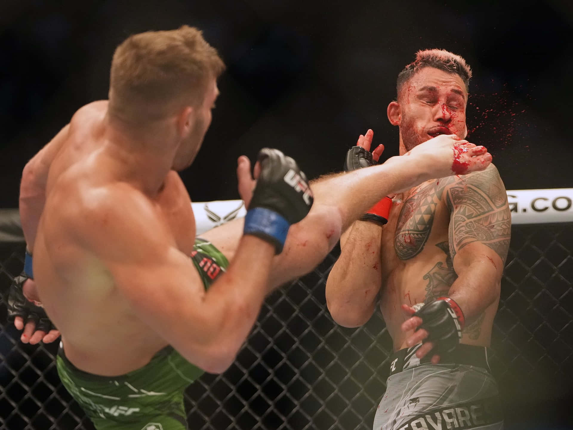 Dricus Du Plessis Kicking Tavares