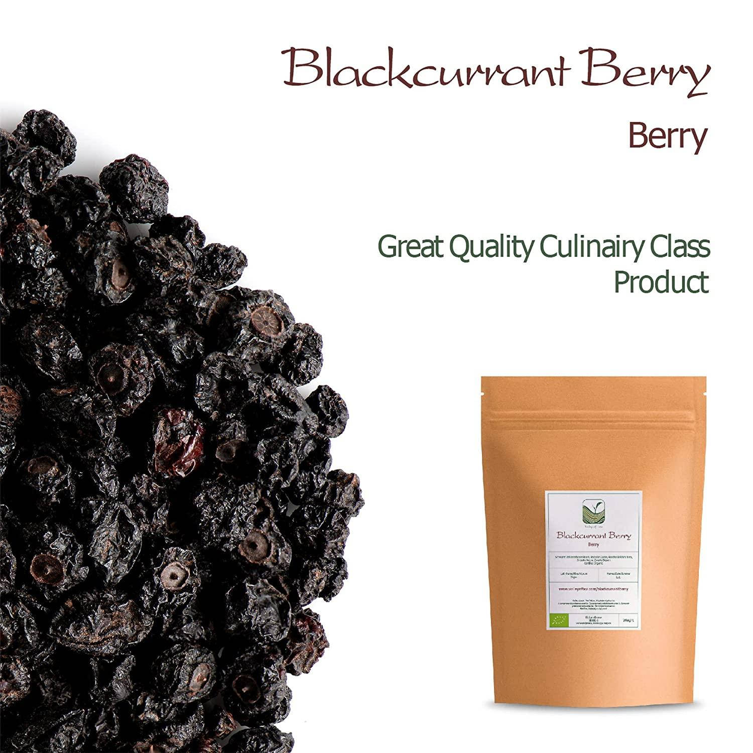 Dried Blackcurrant Berry Product Background